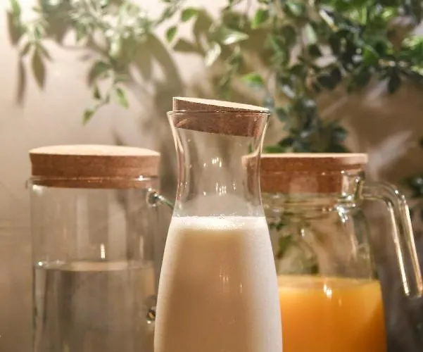 Ξενοδοχείο Luxir